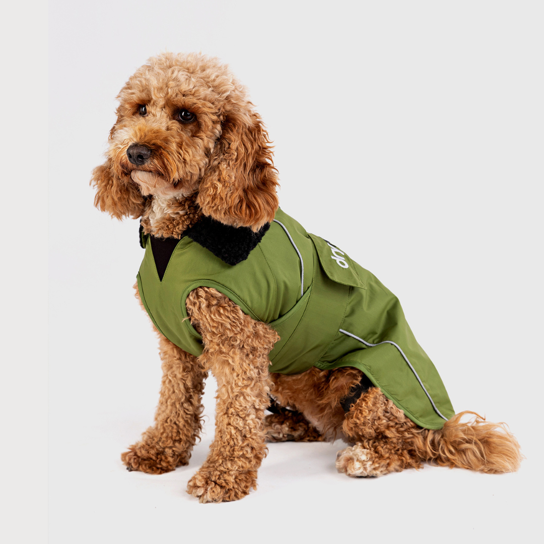 Dryrobe Waterproof Dog Coat