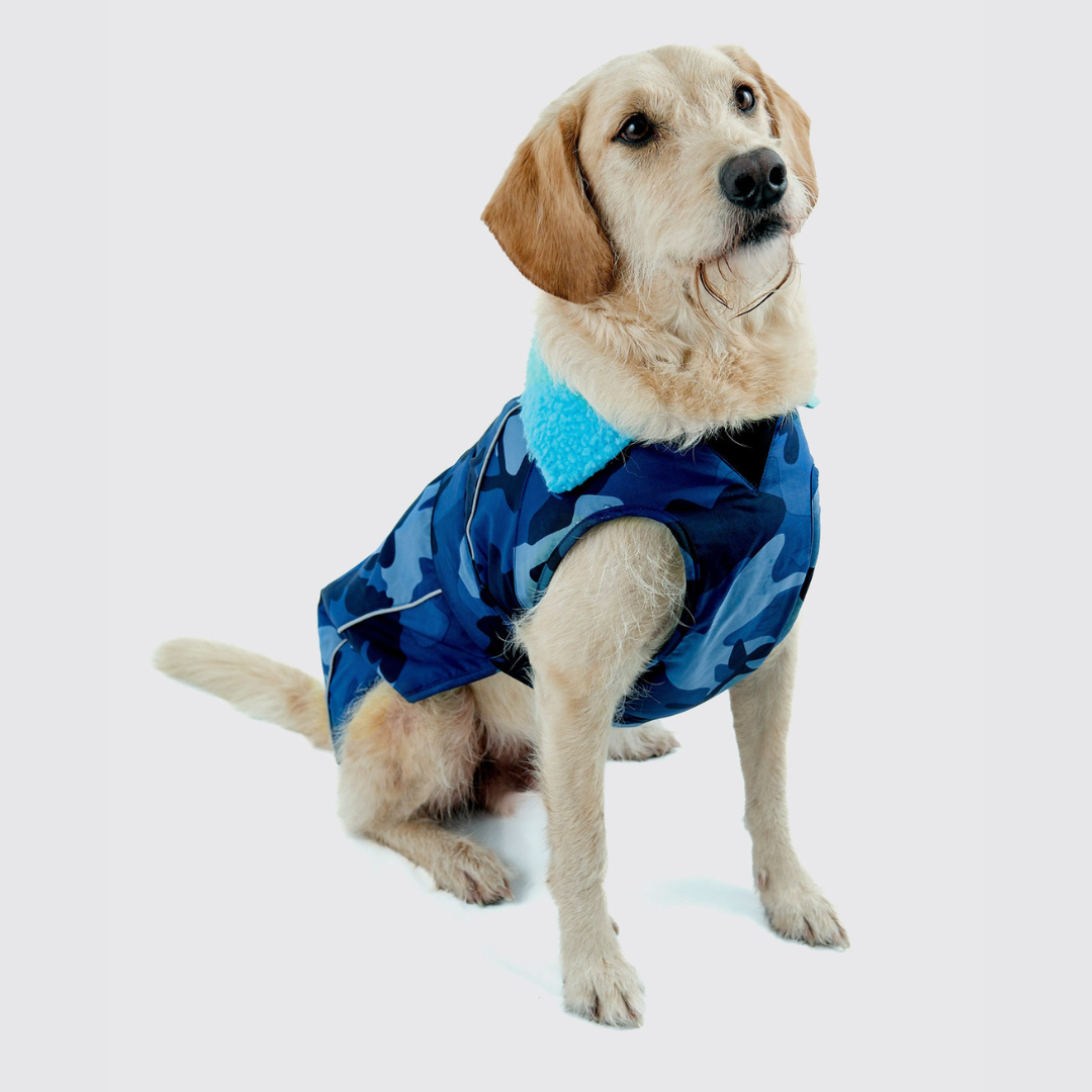 Dryrobe Waterproof Dog Coat