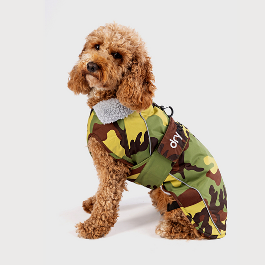 Dryrobe Waterproof Dog Coat