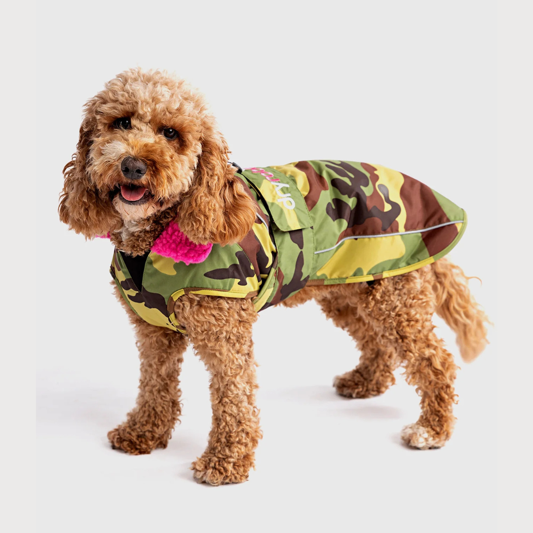 Dryrobe Waterproof Dog Coat
