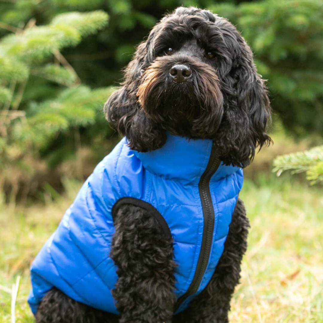 Hugo & Hudson Reversible Puffer Jacket