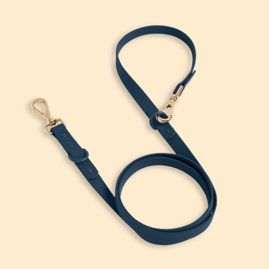 Westley Double Clip Lead