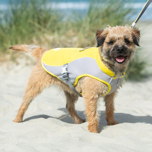 Hugo & Hudson Cooling Vest