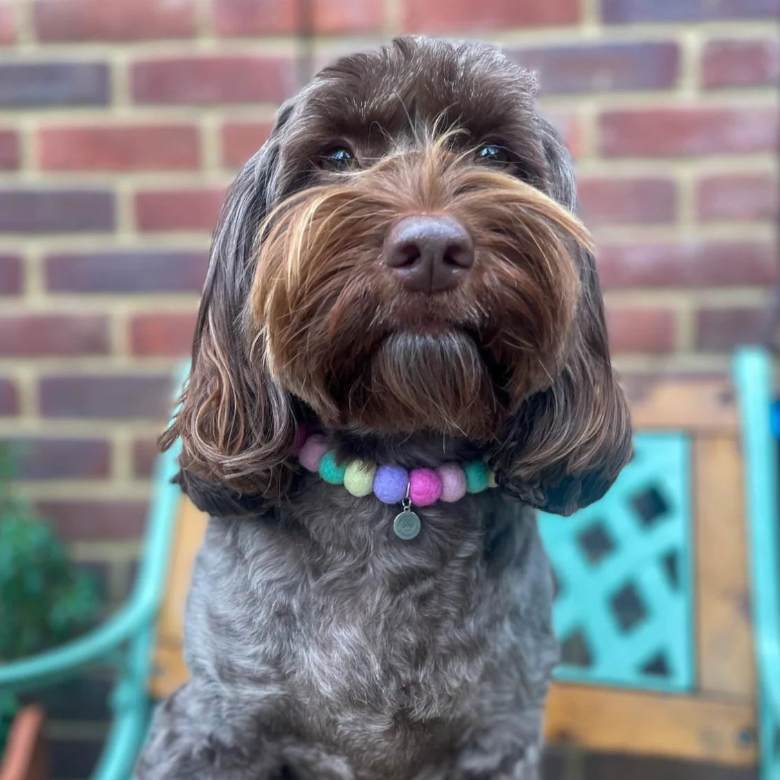 Pom Pom Necklace