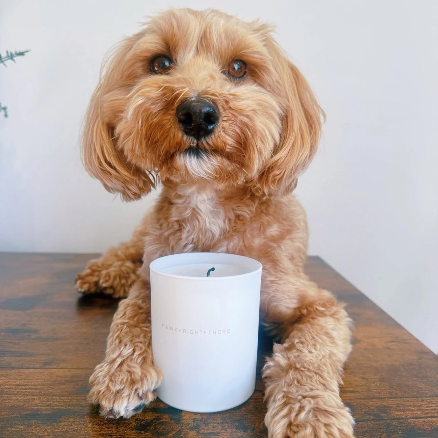 'Goodbye Anxiety' Calming Candle