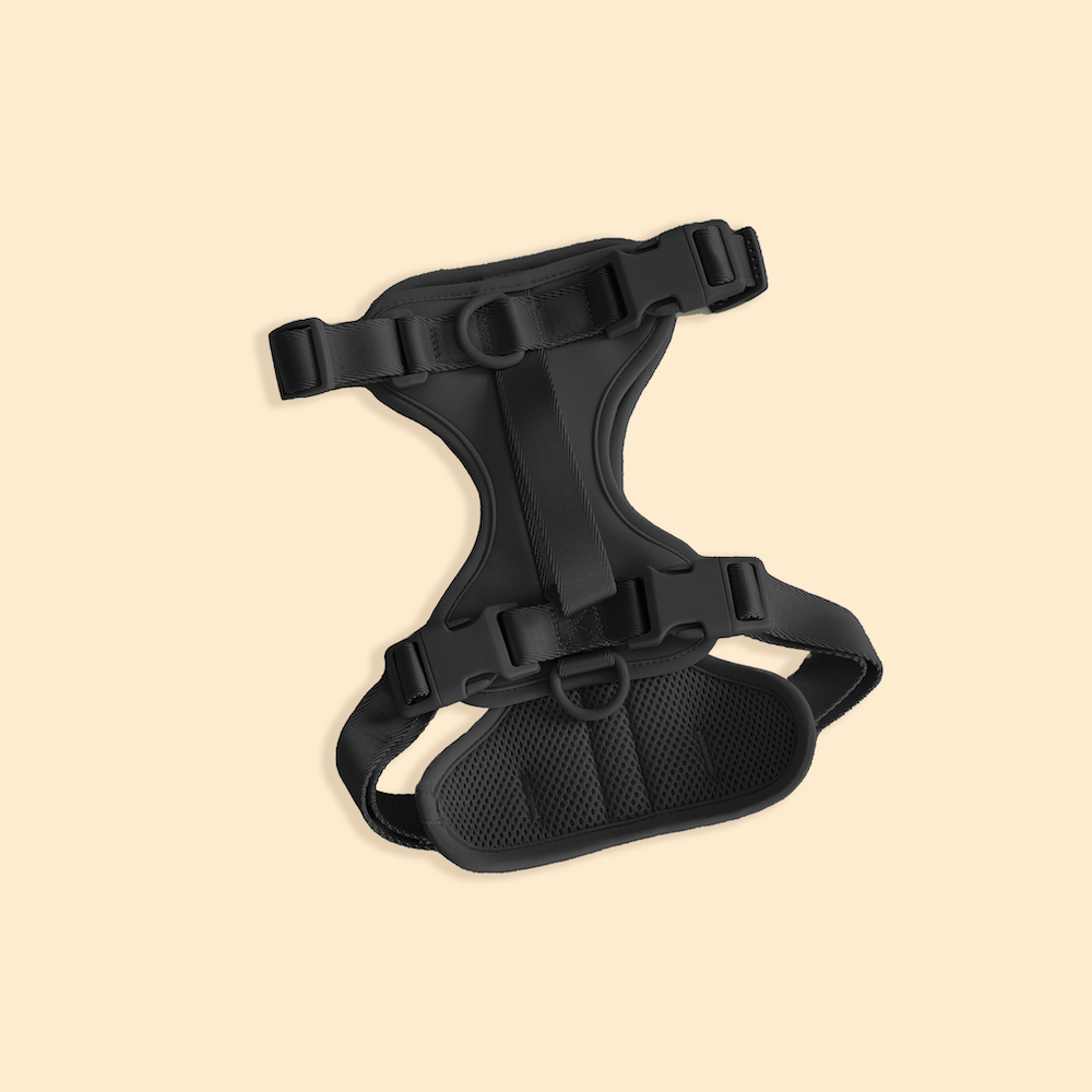 Westley No-Pull Harness