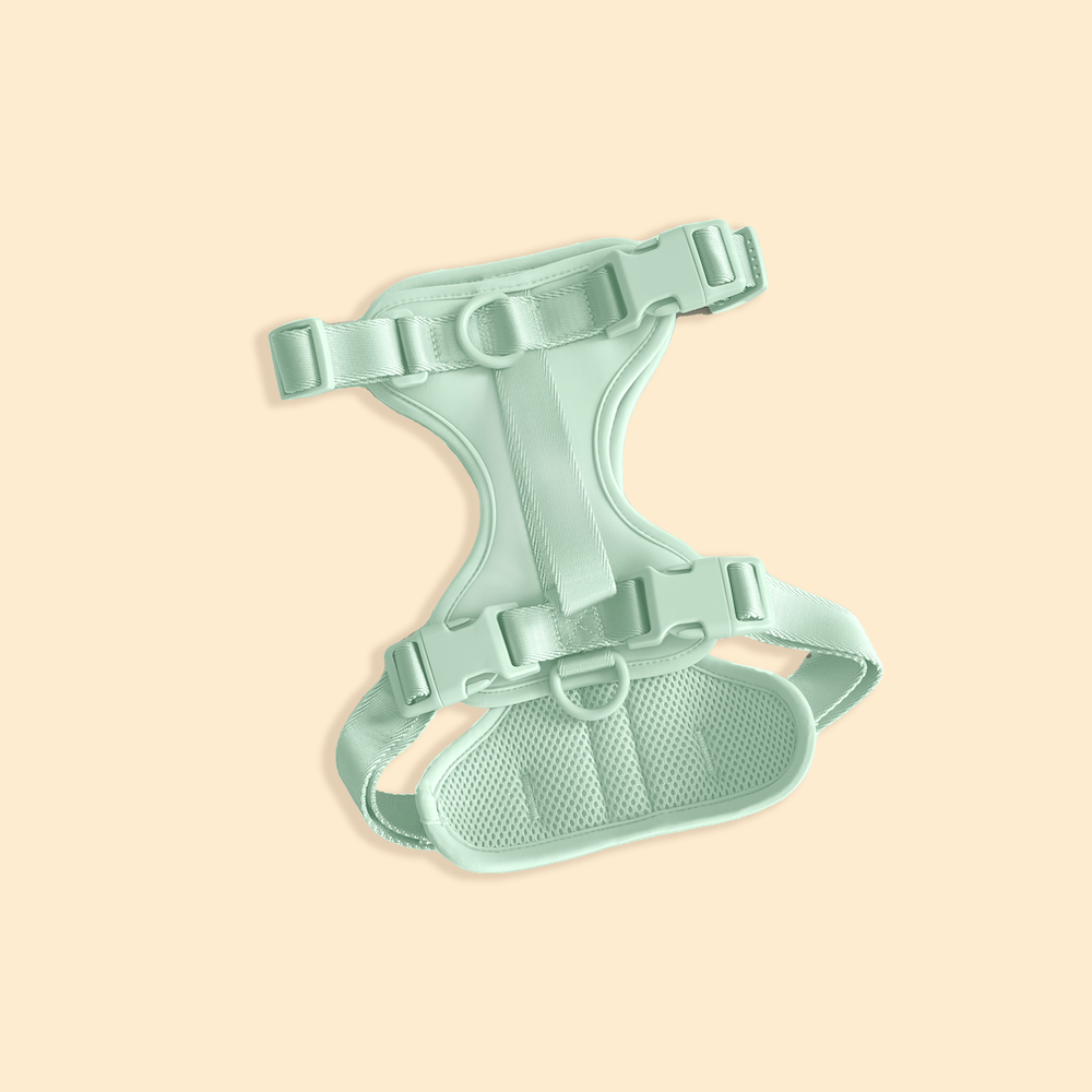 Westley No-Pull Harness