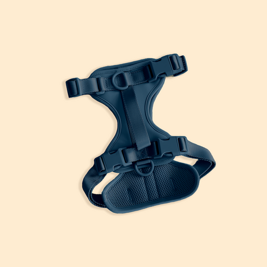 Westley No-Pull Harness