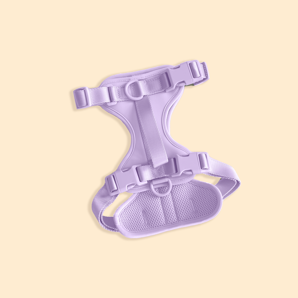 Westley No-Pull Harness