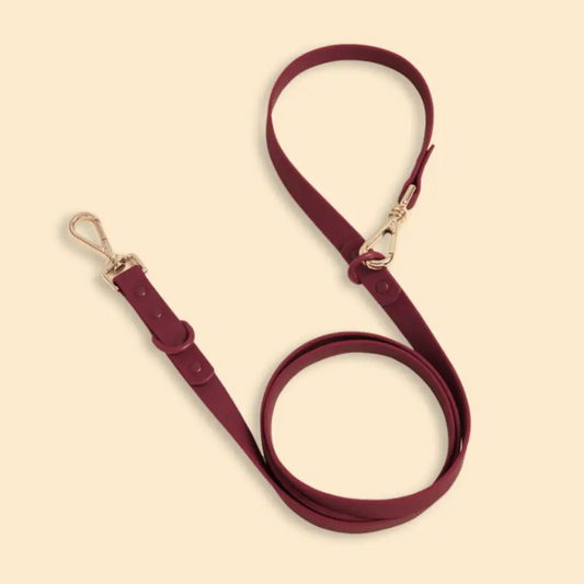 Westley Double Clip Lead