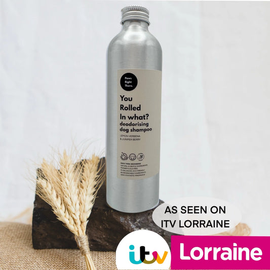 'You Rolled In What?' Deodorising Dog Shampoo