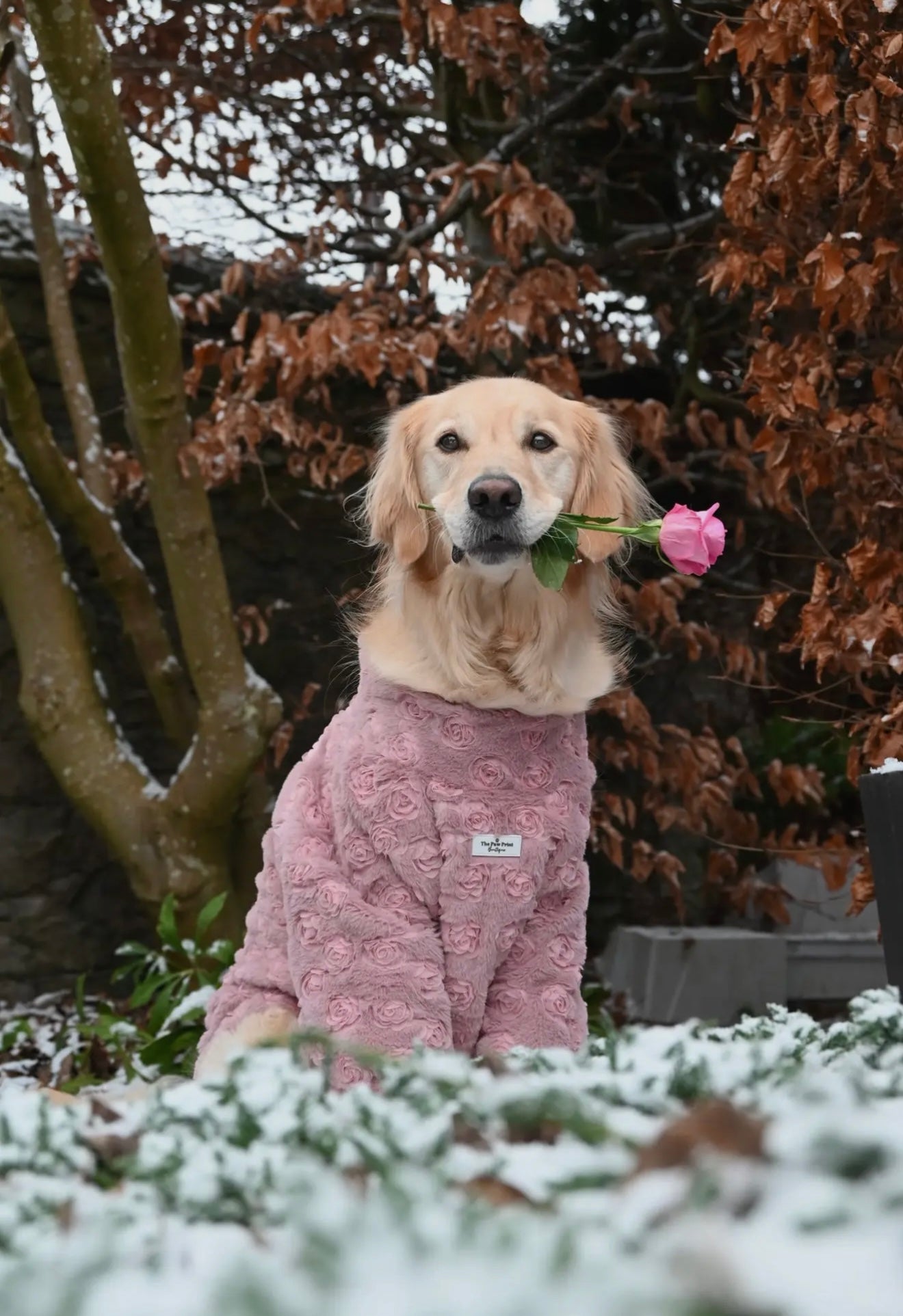 The Roses Fleece - Pink