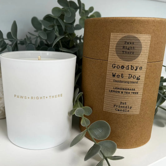 'Goodbye Wet Dog' Purifying Candle
